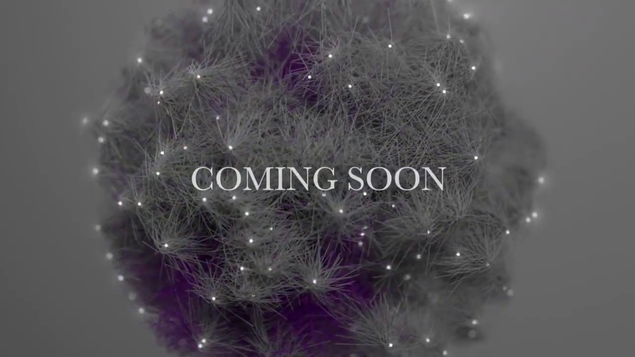 Rice Patty Daddy Promo Trailer