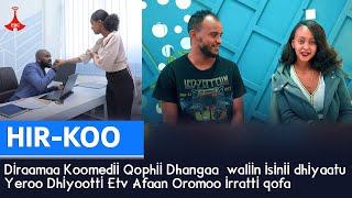 HIR-KOO Diraamaa Koomedii Qophii Dhangaa  waliin isinii dhiyaatu