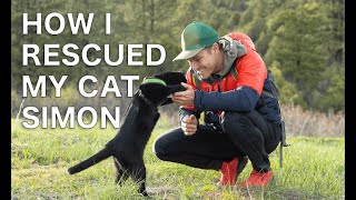 How I rescued my Cat Simon