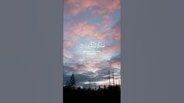 استغفر الله العظيم واتوب اليه. القارئ #سعود_الشريم ،سورة الذاريات. #quran #القرآن #القرآن_الكريم