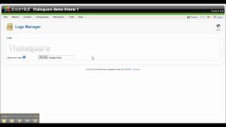 logo_manager.flv