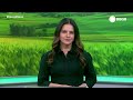 Record News Rural - 29/07/2026