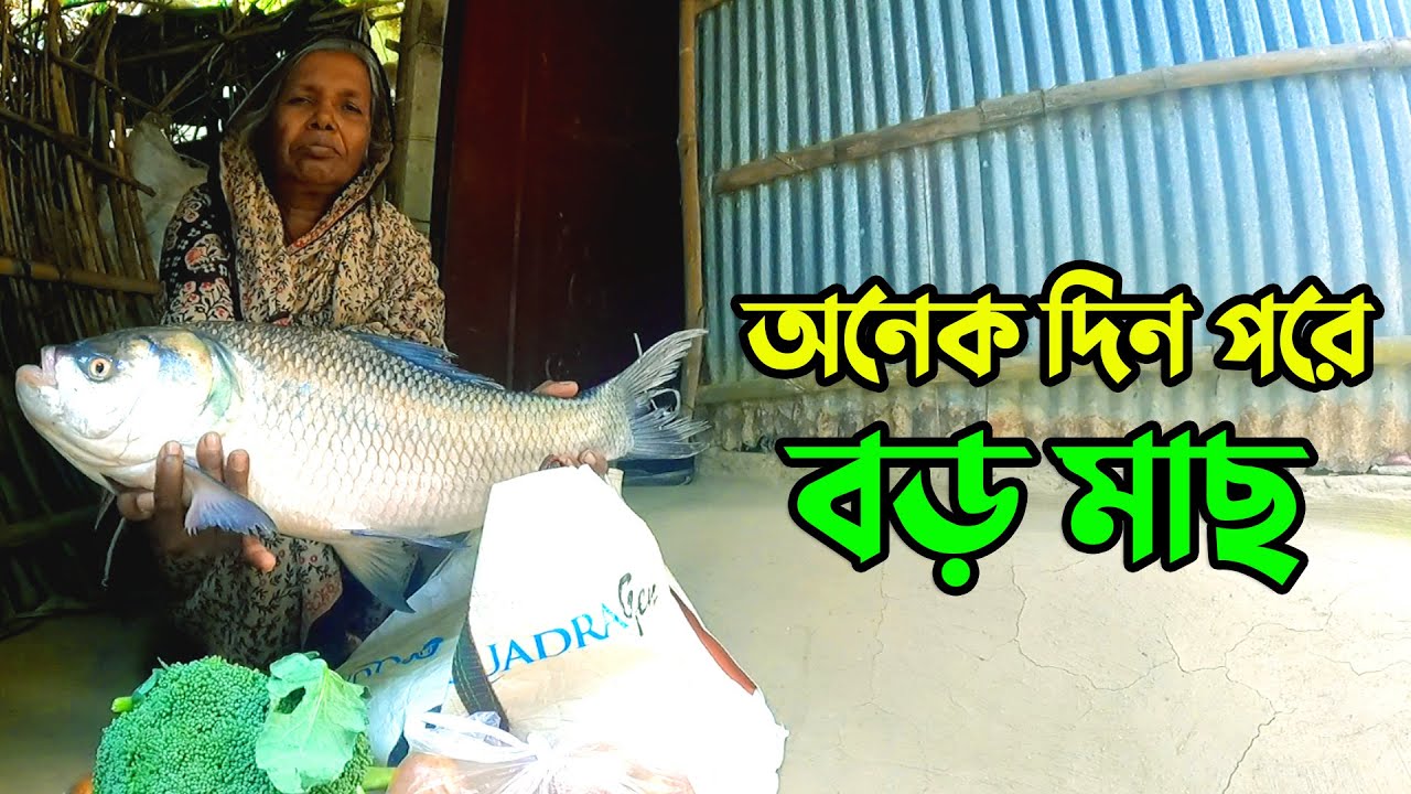 918- অনেক দিন পরে বড় মাছ