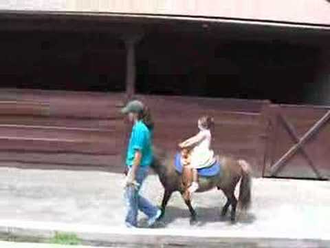 Nicole pony - YouTube