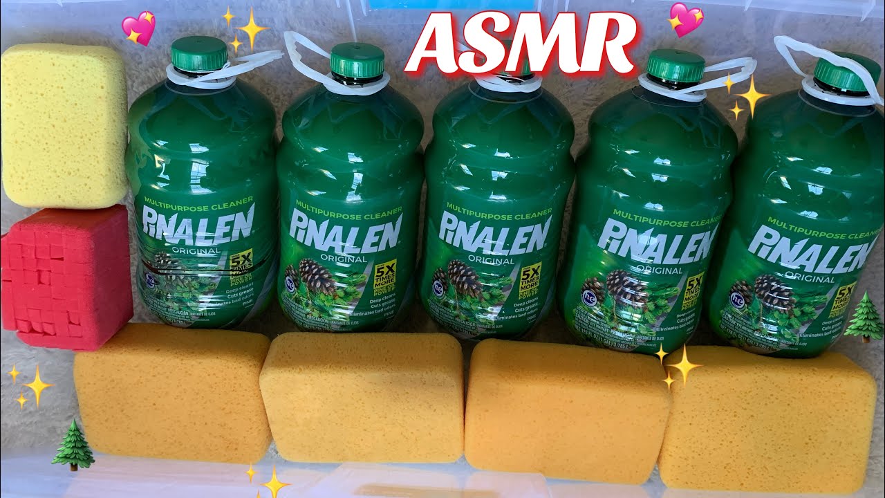 🌲🌲 ASMR FIVE GALLONS OF PINE PINALEN!! 🌲🌲 Satisfying Sponge Squeezing