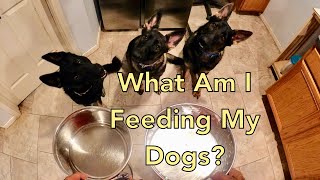 What Am I Feeding My Dogs? by Longoriahaus Dog Training 299 views 1 year ago 3 minutes, 1 second