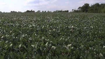 Forecasting the 2012 U.S. Drought