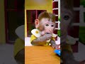 🙈(ASMR)💖 Baby Monkey So Cute eats M&amp;M Candy
