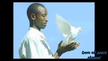 Patrice Dove of peace
