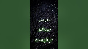 سورة النساء صلاح الباجي
