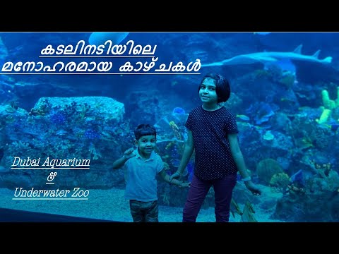 Dubai Aquarium & Underwater Zoo|Little Wings|Dubai Mall|Aquarium Tunnel and Underwater Zoo