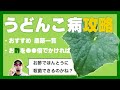 まだ間に合う?うどん粉病対策を完全解説