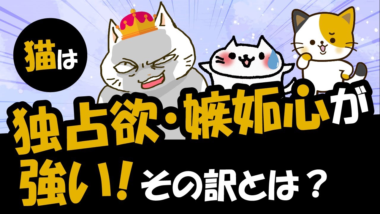 なぜ猫は飼い主を独り占めする・嫉妬が強い動物なのか？その理由を詳しく解説