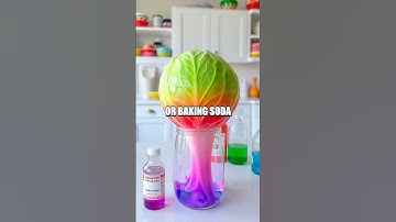 Exploring the Fascinating World of pH Testing with Cabbage Juice