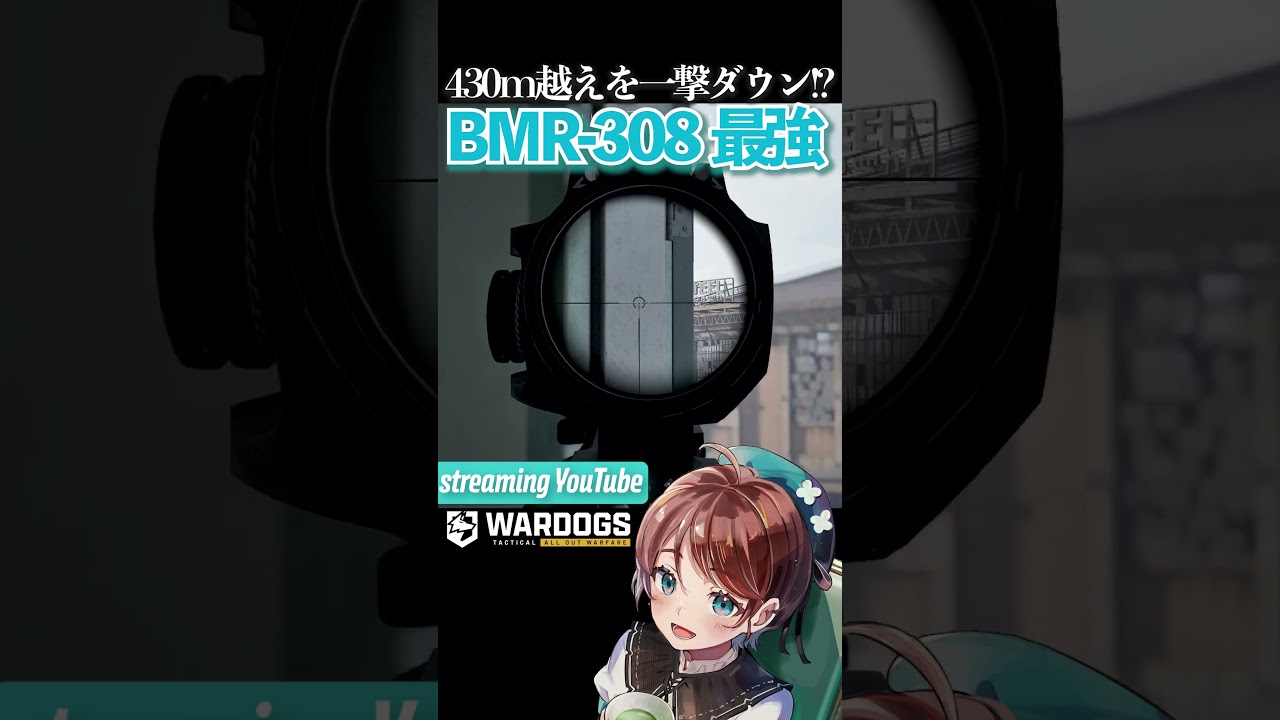 【WARDOGS】430m越えの敵を一撃ヘッドショット⁉BMRー308が強すぎる