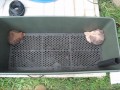 EarthBox & Self-Watering Container Gardening