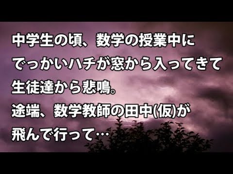 【修羅場　衝撃】中学生の頃、数学の授業中にでっかいハチが窓から入ってきて生徒達から悲鳴。途端、数学教師の田中(仮)が飛んで行って…  【修羅場・衝撃体験をお送りします】