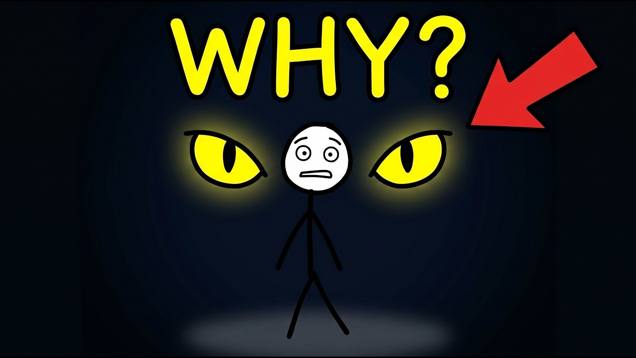 What's Hiding In The Dark??