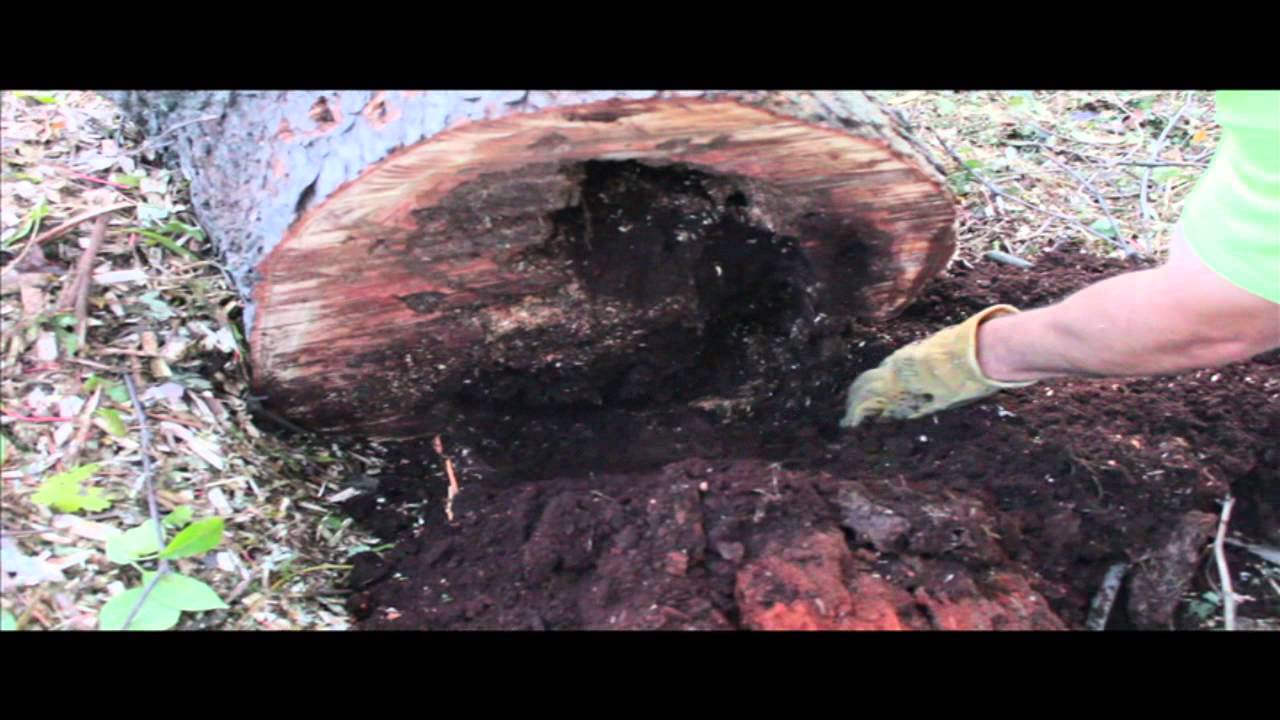 J&S Enterprises Inc. 15 Minute Commercial - YouTube