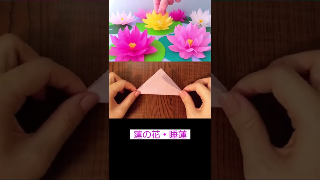 お花紙で作るハスの花#shorts #折り紙 #蓮の花 #睡蓮 #Paperflowers