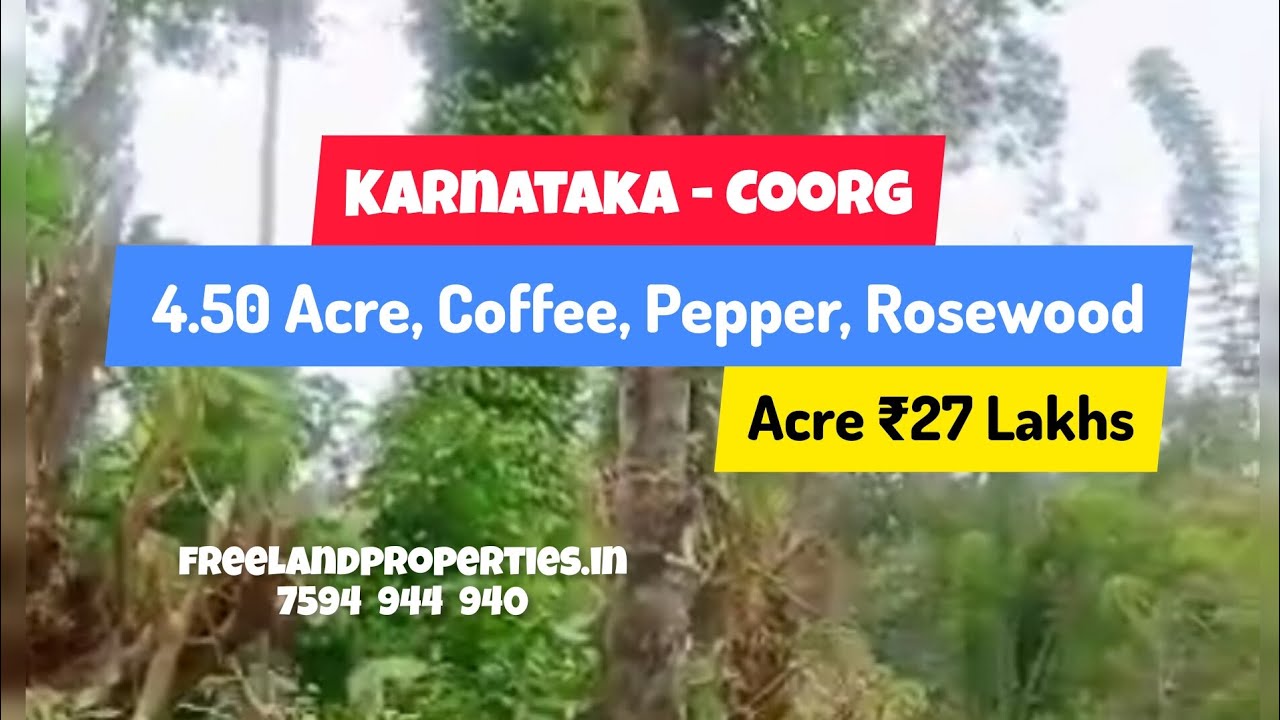 4.50 Acre Coffee Pepper Rosewood Estate for Sale Madikeri