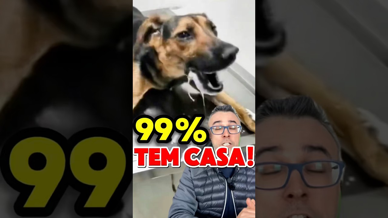 ⚠️CUIDADO! 🚨99% TEM EM CASA! #cachorro #pet #pets #petshop #cachorros #pitbull #goldenretriever