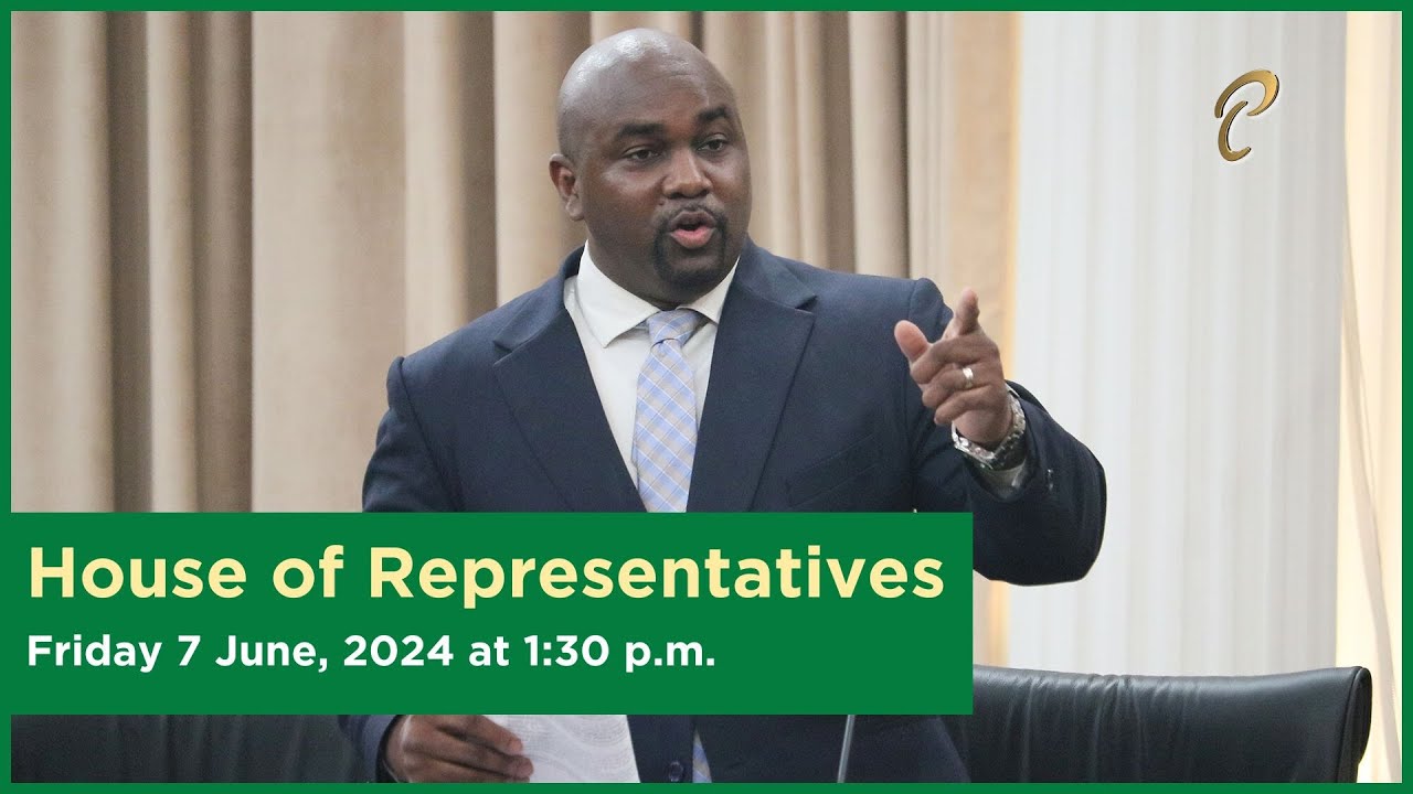 23rd-sitting-of-the-house-of-representatives-4th-session-june-7