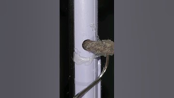 Cleaning Smartphone audio jack with hot glue ❌ #satisfying #asmr