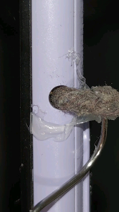 Cleaning Smartphone audio jack with hot glue ❌ #satisfying #asmr