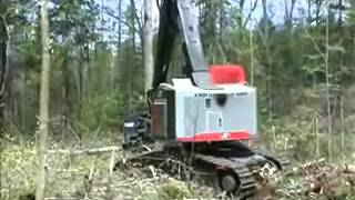 TimberPro TN725B with Rolly II