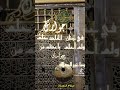 جوارك في جنان الخلد حلم جوارك في جنان الخلد حلم