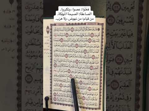 كلمات القرآن الغريبة ١٣٨١ معنى قول الله تعالى فع ت وا الصاعقة من قيام