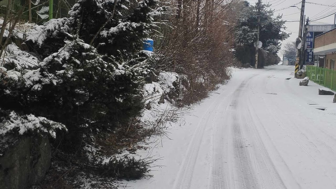 Maya le bolayo malai nepali song