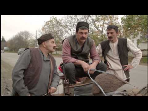 ვარდენის ევოლუცია | ნოველა IX