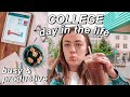 COLLEGE VLOG: new apartment, groceries, workout classes, & more!
