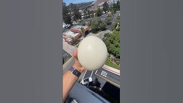 The ULTIMATE egg drop test! (200ft) #shorts #ostrichegg