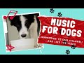 Music for dogs - Suscribe to the Channel - Sooth, Calm &amp; Relax your Dog and Puppy