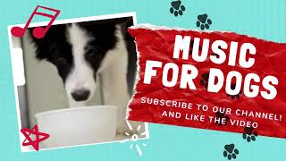 Music for dogs - Suscribe to the Channel - Sooth, Calm &amp; Relax your Dog and Puppy