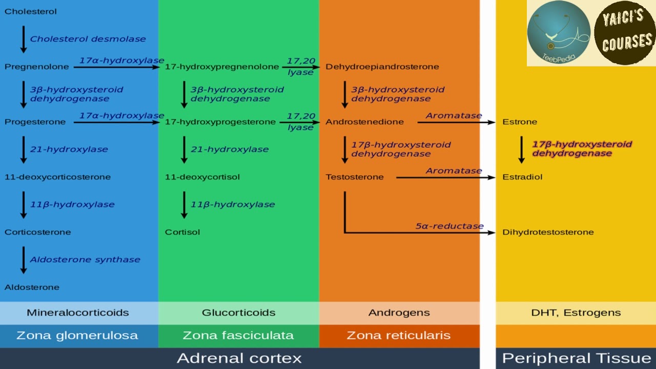 Comment trouver le bon acheter steroide par cb pour votre service spécifique