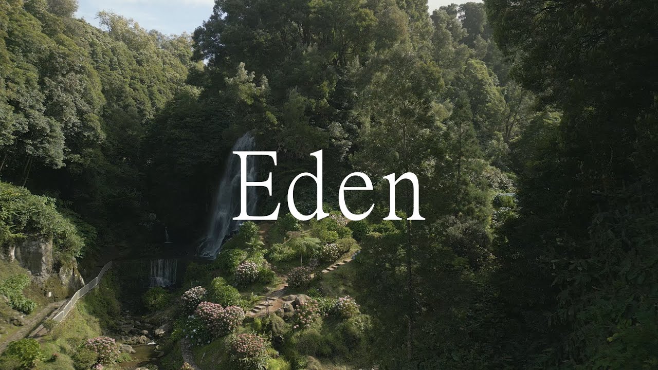 MUSEUM - EDEN COLLECTION - YouTube