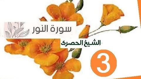 ‏المصحف المعلم الشيخ الحصري  سورة  النور الجزء الثامن عشر الوجه11