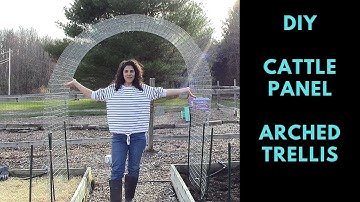 How to Build a Garden Trellis for Vegetables | DIY Cattle Panel Trellis
