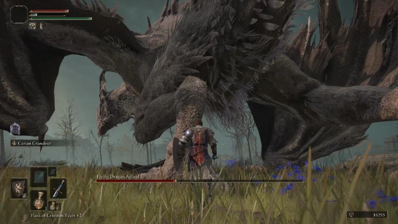 ELDEN RING  - Most satsfying dragon kill