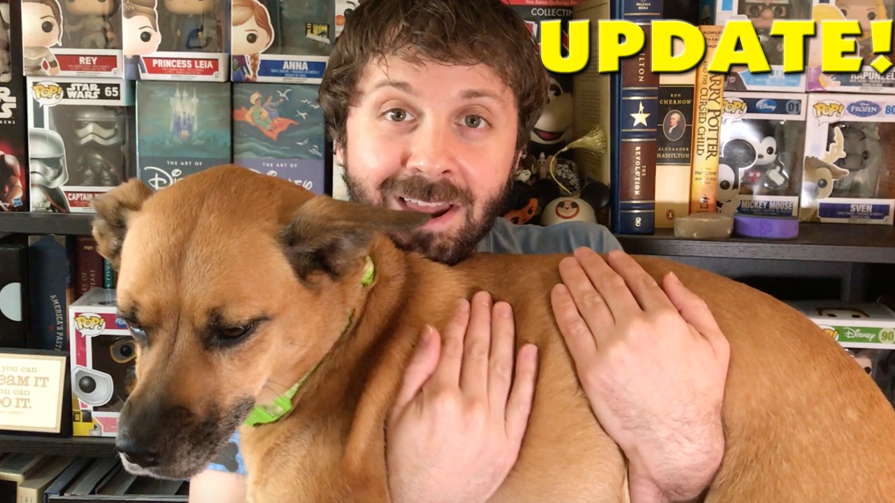 UPDATE on How2Disney, My Channel, and more!