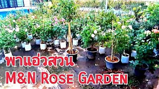 พาชทสวนกุหลาบข้างบ้าน 116 เที่ยวฟาร์ม Mึึ&์N Rose Garden