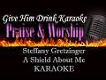 Steffany Gretzinger ~ A Shield About Me Karaoke