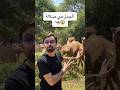 الخطلة في ظفار