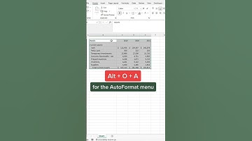 How to use AutoFormat Features in excel   | Advance Excel Formula | MyExcelGeeks