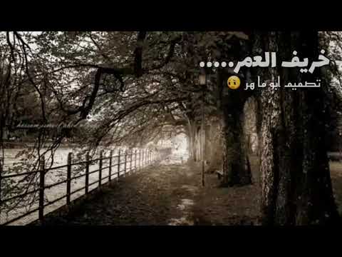 حالات وتس خواطر طارق حامد خريف العمر