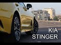 Мечта таксиста: Kia Stinger